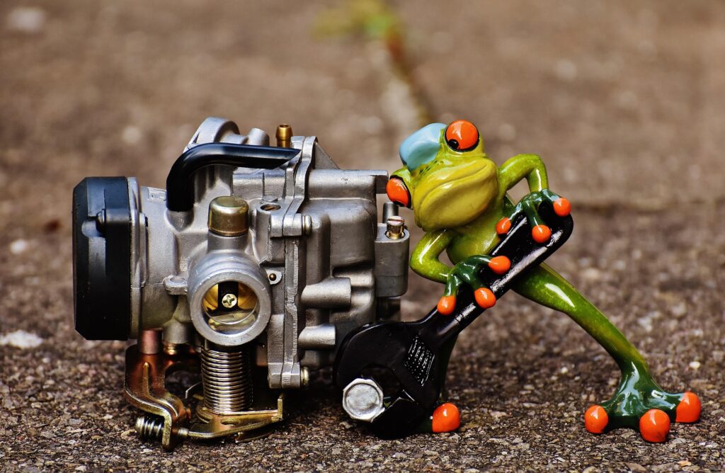 carbulator frog-1672981_1920